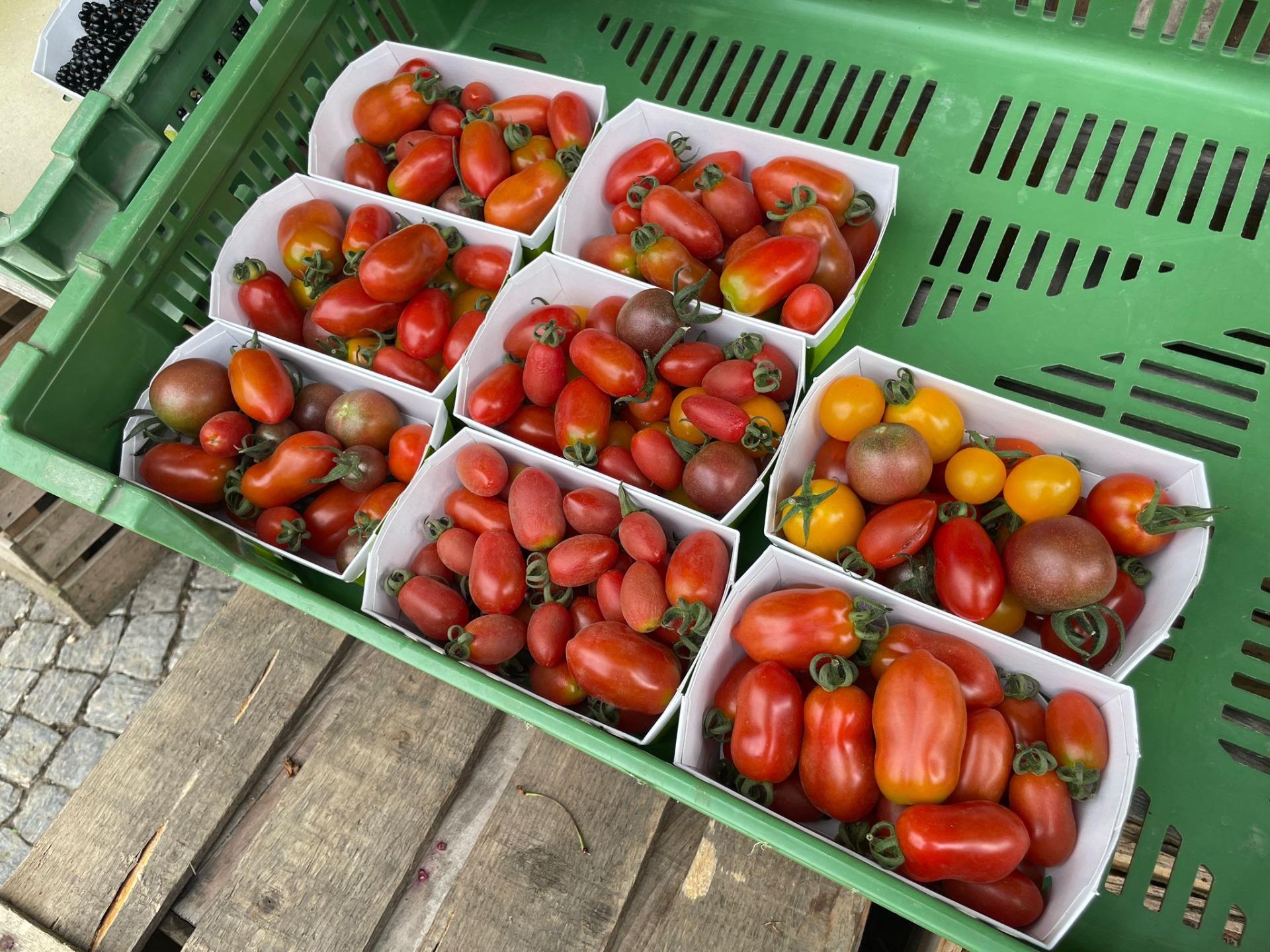 Cherry-Tomaten, 250g Schale