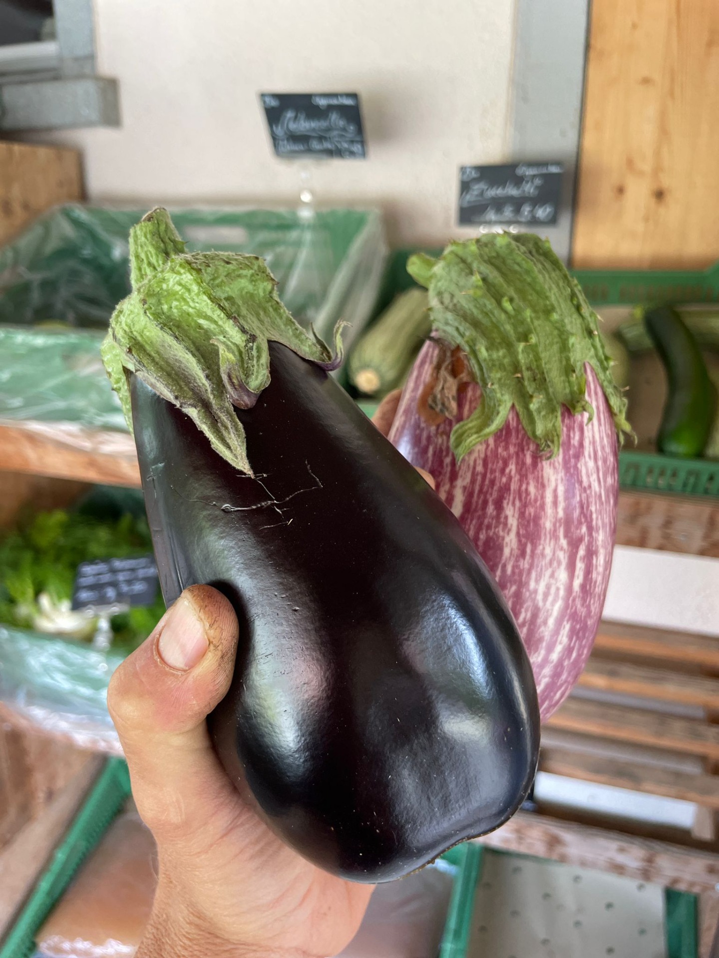Aubergine pro Stück