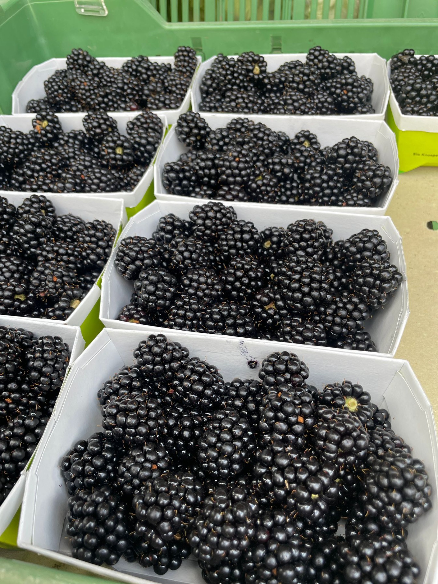 Brombeeren 250g Schale